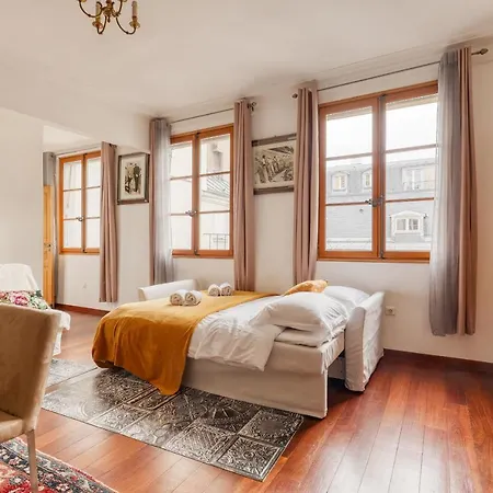 Apartmán Bohemian & Authentic Parisian Flat - 07